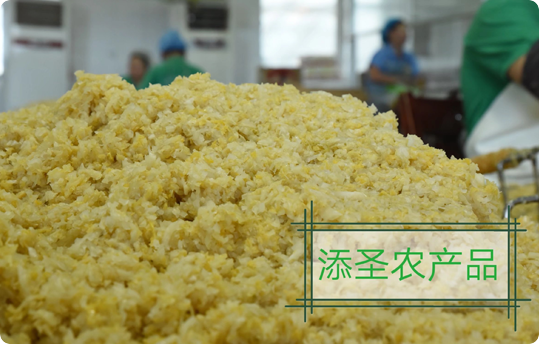 誠(chéng)實(shí)守信、嚴(yán)謹(jǐn)務(wù)實(shí)的工作態(tài)度